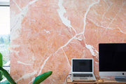 Coral Marble Texture Wall Mural-Textures-Eazywallz